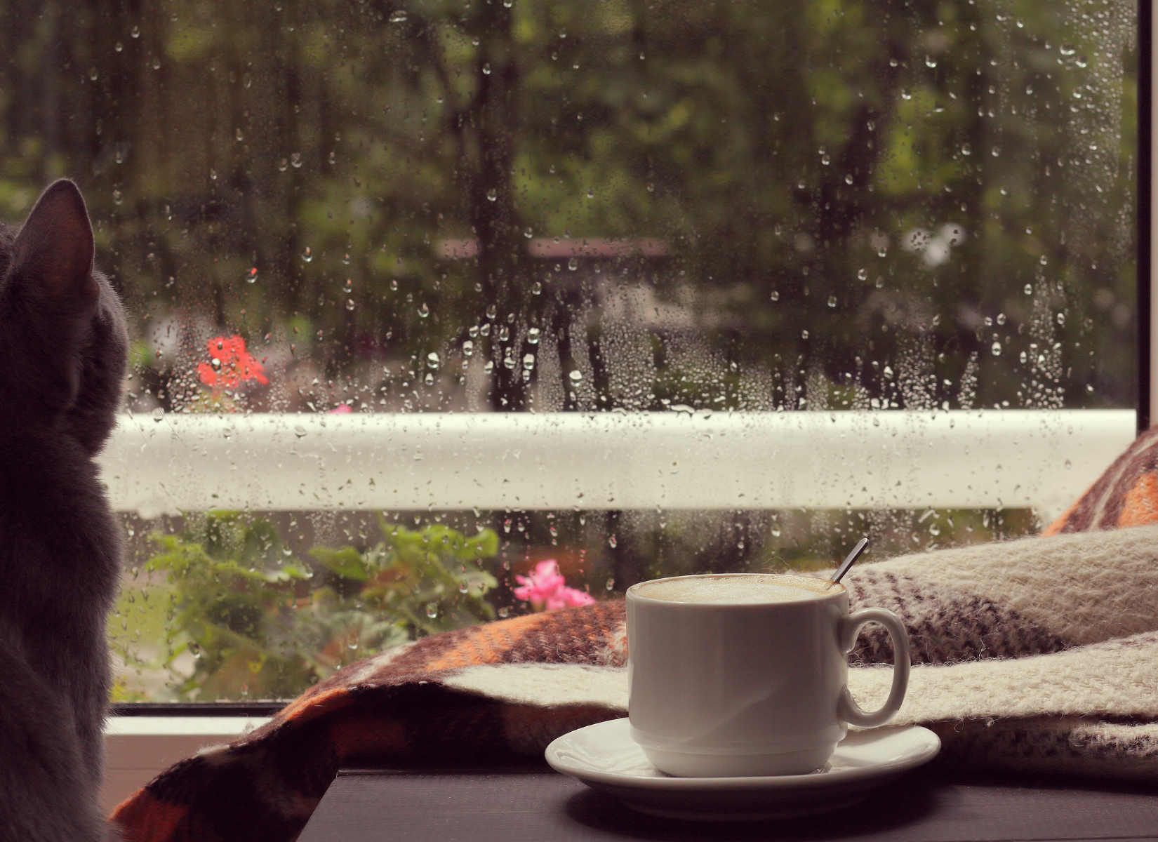 Beauty in a Broken Heart: Finding Hope in Jesus
